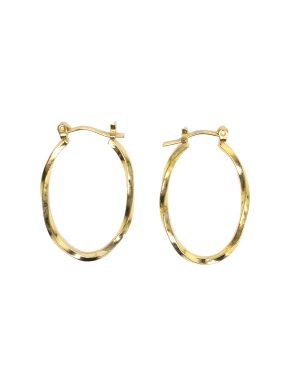 Gold Colour Oval Earrings