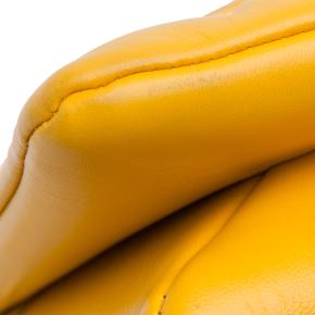 Louis Vuitton Yellow Monogram Coussin PM Shoulder Bag 13