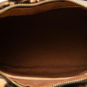 Louis Vuitton Monogram Leopard Alma 4