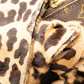 Louis Vuitton Monogram Leopard Alma 8