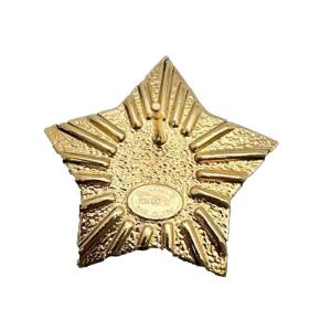 Chanel Gold Plated and Resin CC Rhinestones Star  Earrings 4