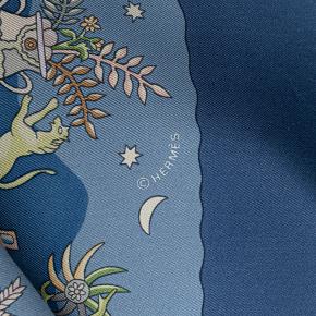 Hermes Blue 'Rives Fertiles' Silk Scarf 4