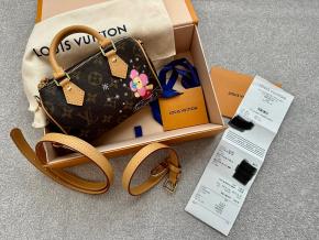Louis Vuitton Monogrammed Coated Canvas Nano Speedy 6