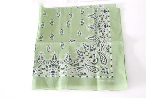 Saint Laurent Pale Green Paisley Bandana Scarf 4
