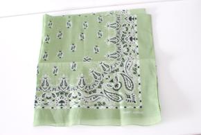 Saint Laurent Pale Green Paisley Bandana Scarf 3