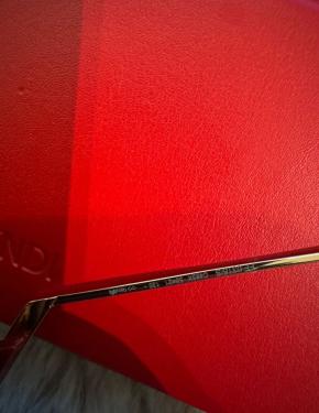 Fendi Large Acetate Sunglasses 4