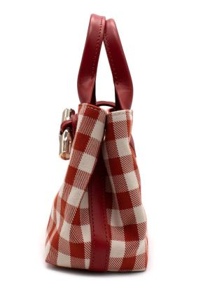 Longchamp Le Roseau XS Handbag Bark Canvas 3