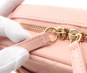 Chanel Pink Small Camera Bag 7