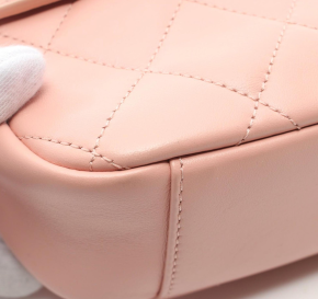 Chanel Pink Small Camera Bag 6