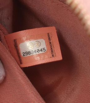 Chanel Pink Small Camera Bag 4