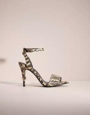 Coach Snakeskin Print Heeled Sandals 2