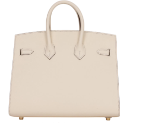 Hermès Epsom Sellier Nata Birkin 25 With Gold Hardware 4