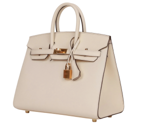 Hermès Epsom Sellier Nata Birkin 25 With Gold Hardware 2