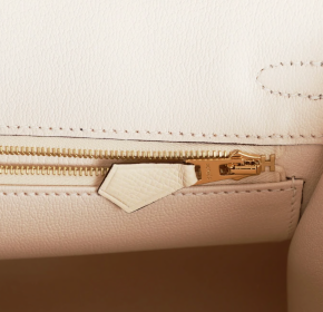 Hermès Epsom Sellier Nata Birkin 25 With Gold Hardware 9
