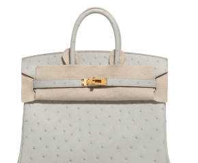Hermès HSS Autruche Gris Perle Birkin 25 With Gold-tone Hardware 6