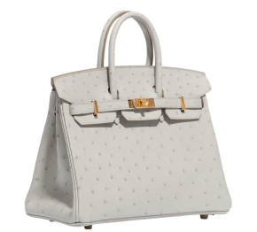 Hermès HSS Autruche Gris Perle Birkin 25 With Gold-tone Hardware 4