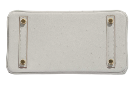 Hermès HSS Autruche Gris Perle Birkin 25 With Gold-tone Hardware 2