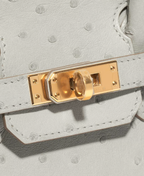 Hermès HSS Autruche Gris Perle Birkin 25 With Gold-tone Hardware 3