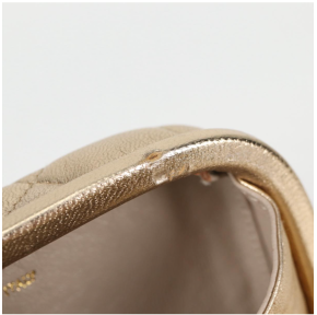 Chanel Logo CC Gold Bag 6