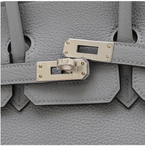 Hermès Grey/Gold Hardware Birkin 25 5