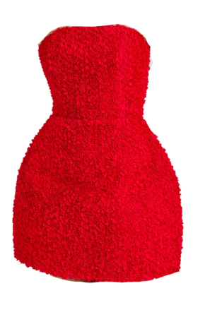 Nadine Merabi 'Maisy' Red Mini Dress 3
