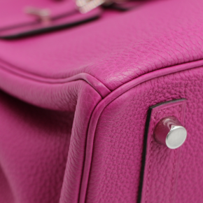 Hermes Purple Togo Leather Birkin 25 Togo 10