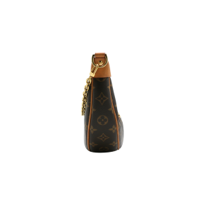 Louis Vuitton Monogram Monogram Coated Canvas Loop Bag 4