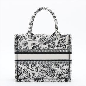 Dior Small Canvas Book Tote 2