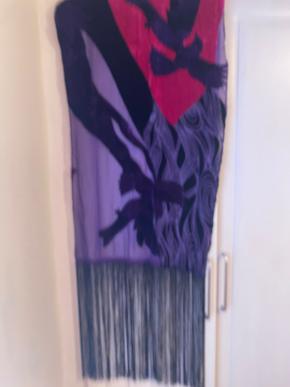 Joop Velvet Maxi Dress And Shawl 15