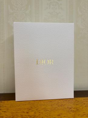 Dior Limited Edition Diary And Pencil Set 5