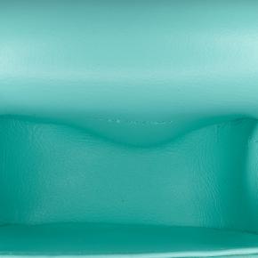 Celine Leather Triomphe AirPods Case with Strap 4