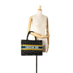 Dior Mizza Medium Embroidered Canvas Leopard Book Tote 7