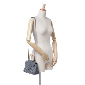 Goyard Gray Mini Goyardine Saigon Souple 7