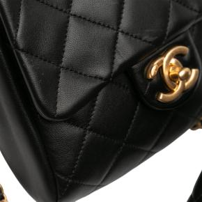 Chanel Black  Quilted Lambskin Side Packs Crossbody 11