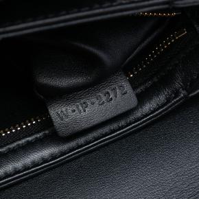 Classique Shiny Calfskin Triomphe Crossbody 6