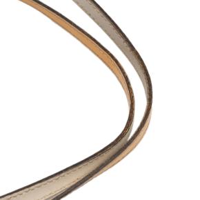 Gucci Coated Canvas Web Jolie Tote 11