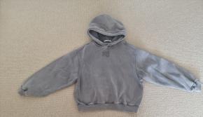 Alexander Wang Grey Hoodie 7