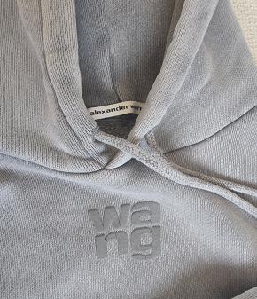 Alexander Wang Grey Hoodie 10