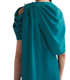 Huishan Zhang Embellished Isolde Fitted Cape Gown 4