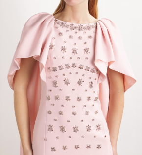 Huishan Zhang Crystal-Embellished Emory Cape Gown 2