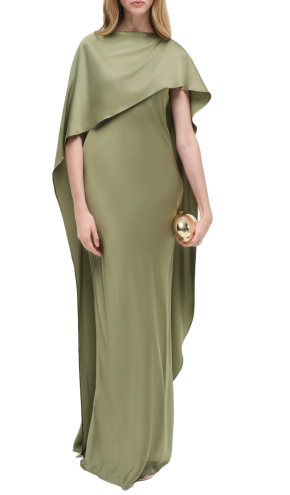 Simkhai Izel Satin Cape Gown 6