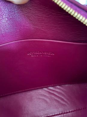 Bottega Veneta Pink Mini Loop Bag 6