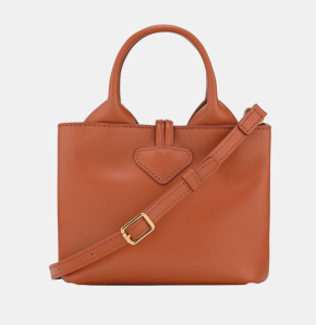 Longchamp Le Roseau XS Handbag 7