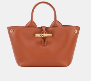 Longchamp Le Roseau XS Handbag 5
