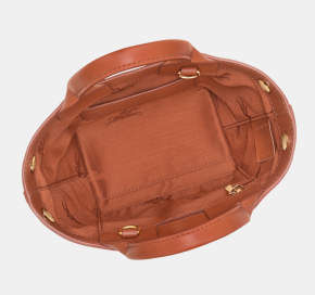 Longchamp Le Roseau XS Handbag 4