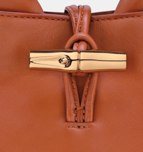 Longchamp Le Roseau XS Handbag 6