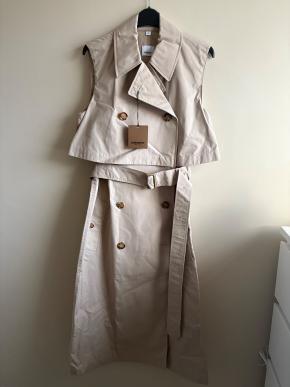 Burberry Beige Trenchcoat Dress 2