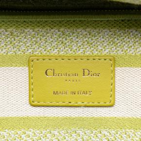 Dior GreenMedium Embroidered Canvas Toile de Jouy Lady D Lite 5