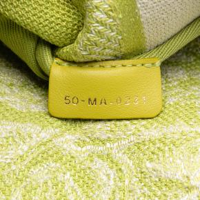 Dior GreenMedium Embroidered Canvas Toile de Jouy Lady D Lite 6