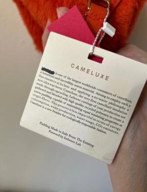 MaxMara Orange Teddy Bear Wrist Bag 7